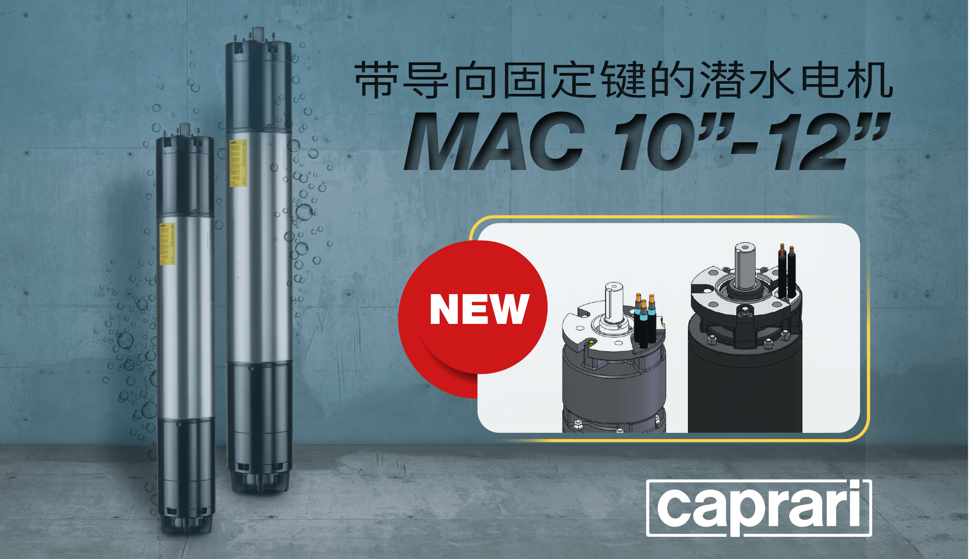 带导向固定键的潜水电机MAC10